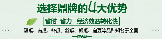 購買蔬菜種子，選擇鼎牌的四大優(yōu)勢
