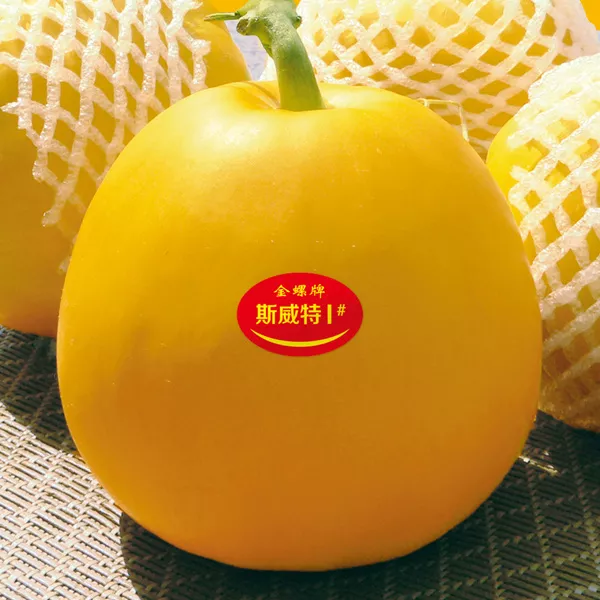 薄皮甜瓜，哪個(gè)品種最好呢？畝產(chǎn)高達(dá)10萬(wàn)，附4種市場(chǎng)爆款品種