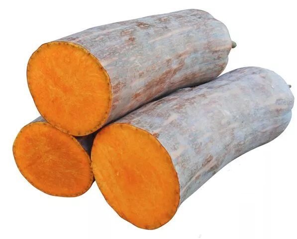 生吃都好吃南瓜新品種，沒有大肚子，肉質(zhì)更密致，農(nóng)戶試種下