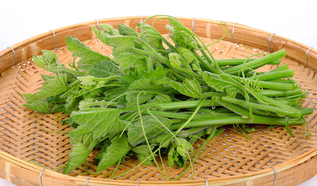 種這種綠葉菜，栽培輕松，畝產(chǎn)值過萬元，菜農(nóng)表示很劃算