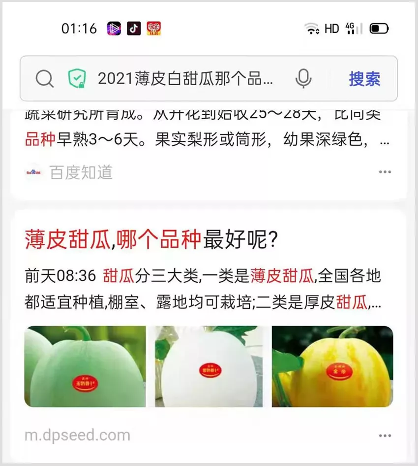 河南焦作的李向林今年種植甜瓜新品種，客戶直接拉貨走人
