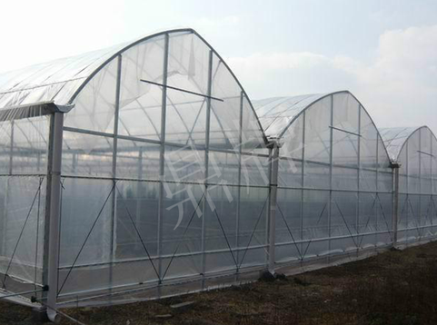 蔬菜種子種植戶客戶點評-鼎牌瓠瓜上市早，地頭批發(fā)價達(dá)到8元/斤，種植基地王老板告訴您！